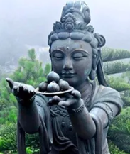 verticle%20dana%20paramita%20image.png