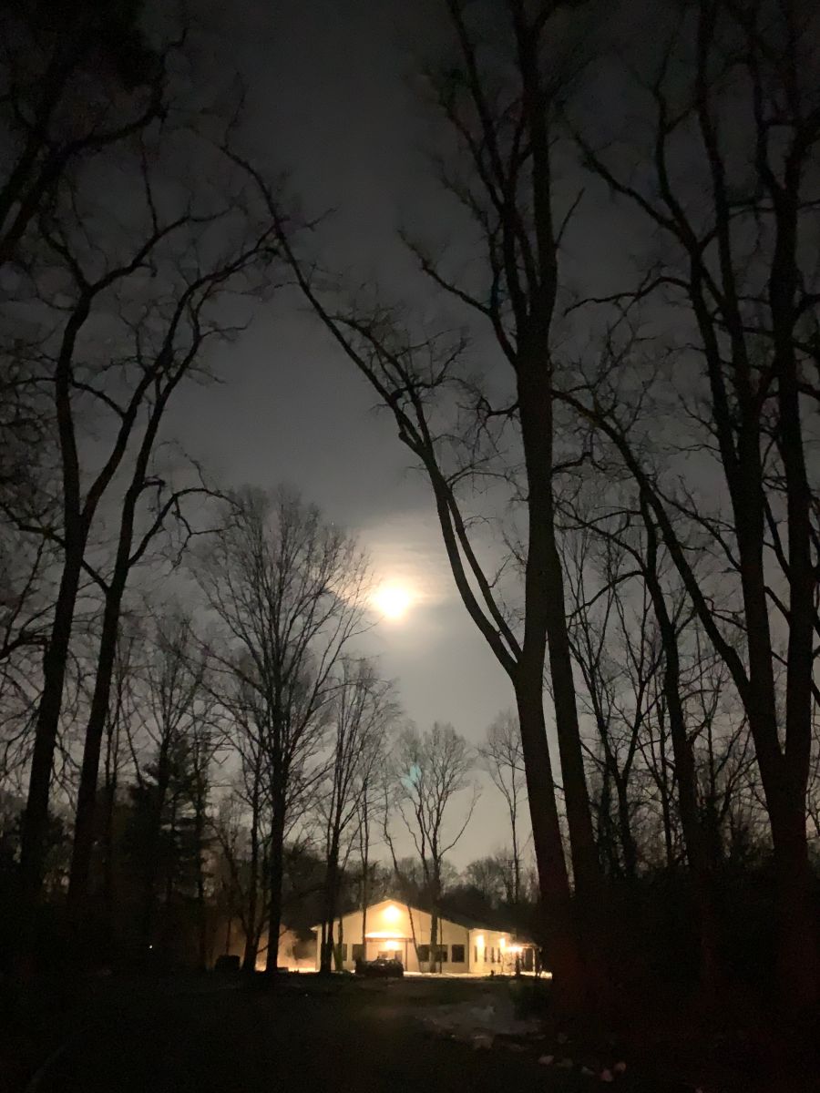 winter%20night%20at%20temple%202023.jpg
